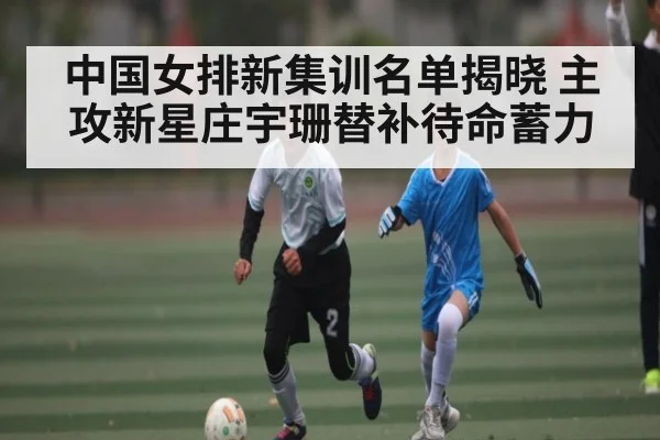 中国女排新集训名单揭晓 主攻新星庄宇珊替补待命蓄力