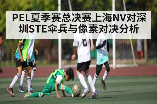 PEL夏季赛总决赛上海NV对深圳STE伞兵与像素对决分析