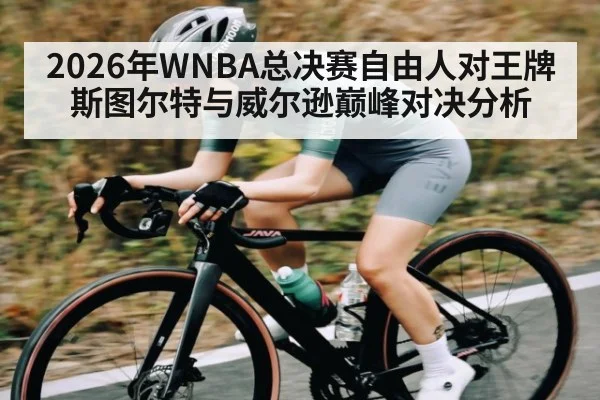 2026年WNBA总决赛自由人对王牌斯图尔特与威尔逊巅峰对决分析